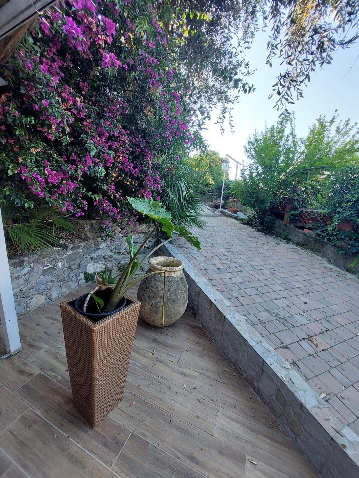 Apartmán Riviera Garden Janov Exteriér fotografie